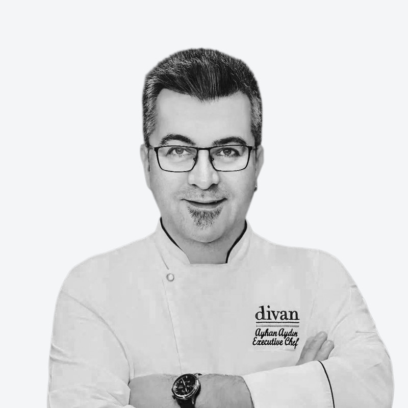 AYHAN AYDIN